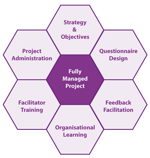 managed 360 degree feedback projects