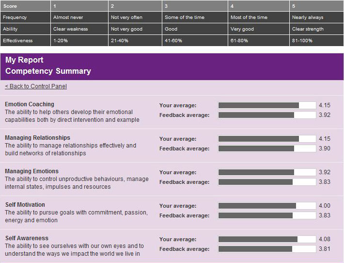 360 degree feedback report format - competency summary